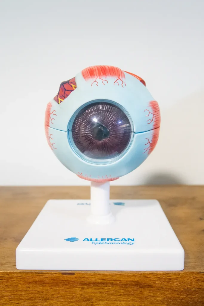 ophtalmo mons - oeuil